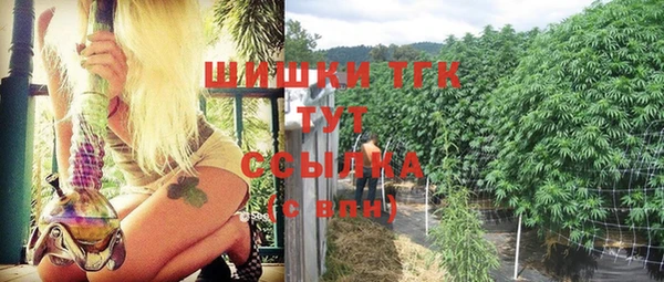 стаф Ладушкин